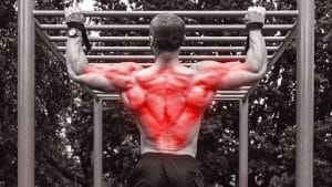 Latissimus Dorsi Exercises