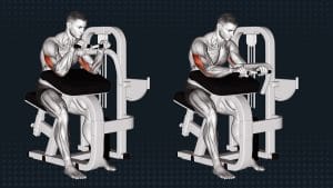 Machine Triceps Extension