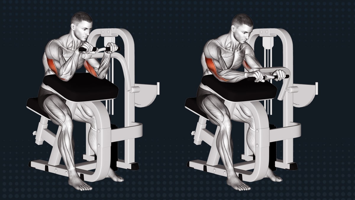 Tricep Extension Machine Tricep Extension Machine