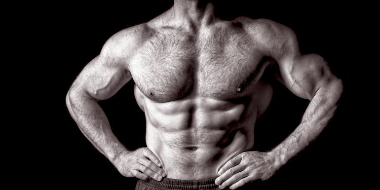 Old School Bodybuilding Exercises