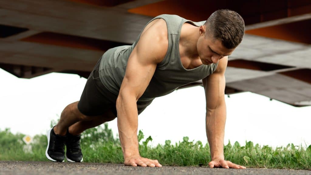 11 PushUp/PullUp Workouts for Upper Body Muscle Gains Fitness Volt
