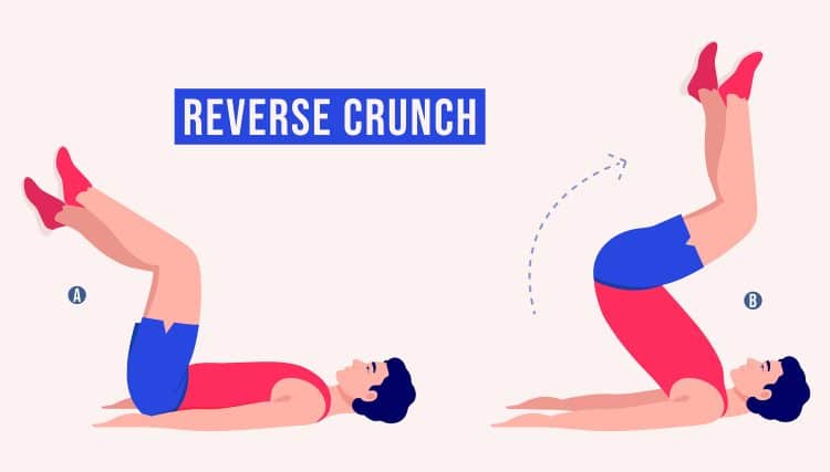 Reverse Crunch Exercise