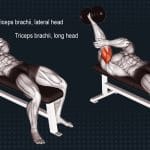 Single Arm Skull Crusher