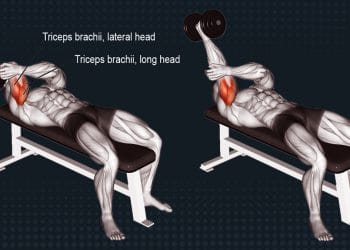 Single Arm Skull Crusher