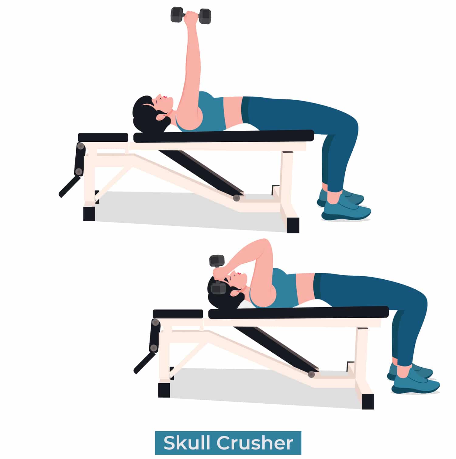 Single Arm Skull Crusher — Muscles Worked How To Benefits 8909