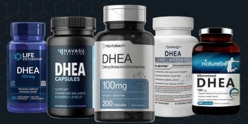 Best Dhea Supplements