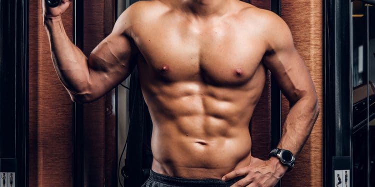 Best Transverse Abdominis Exercises