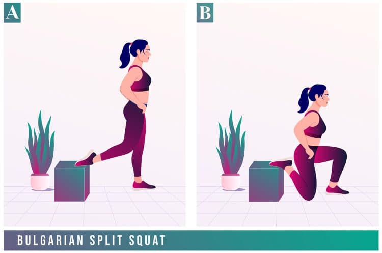 Bulgarian Split Squat Exercise