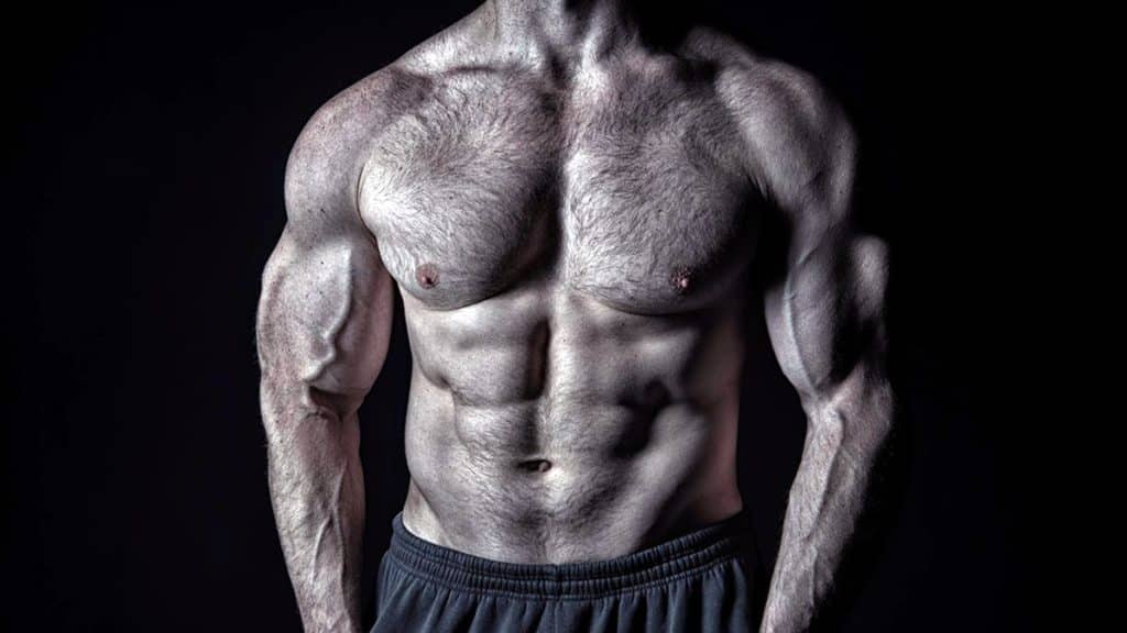 Chest Day Workout Routine