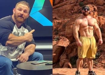 Flex Lewis Retirement Update