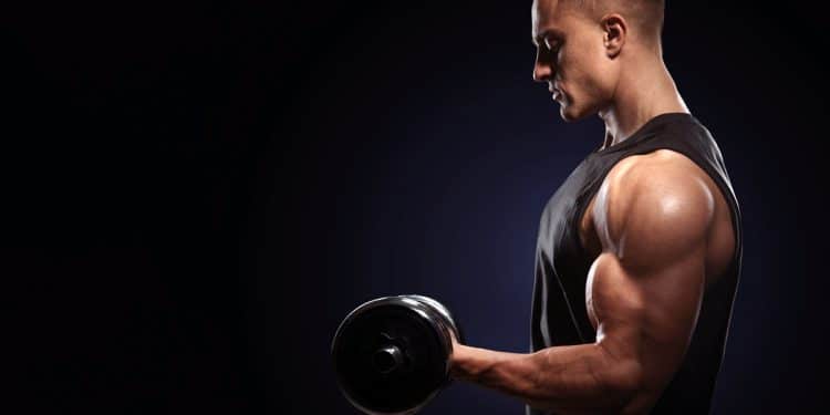 Isometric Biceps Holds