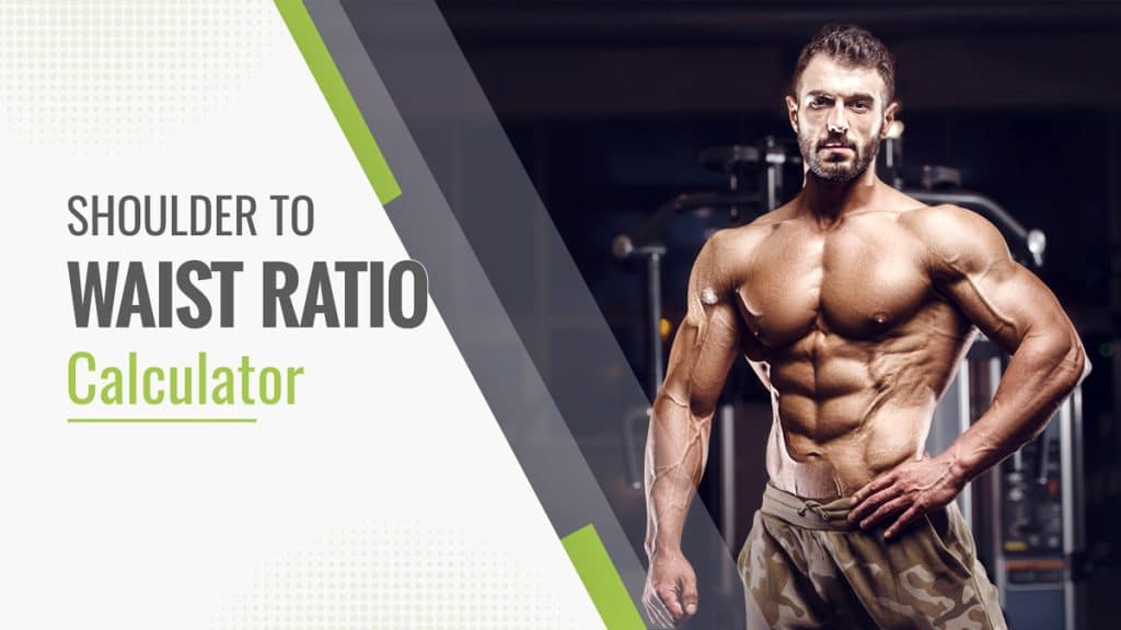 Shoulder To Waist Ratio Calculator