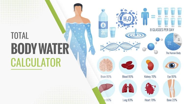 Total Body Water Calculator