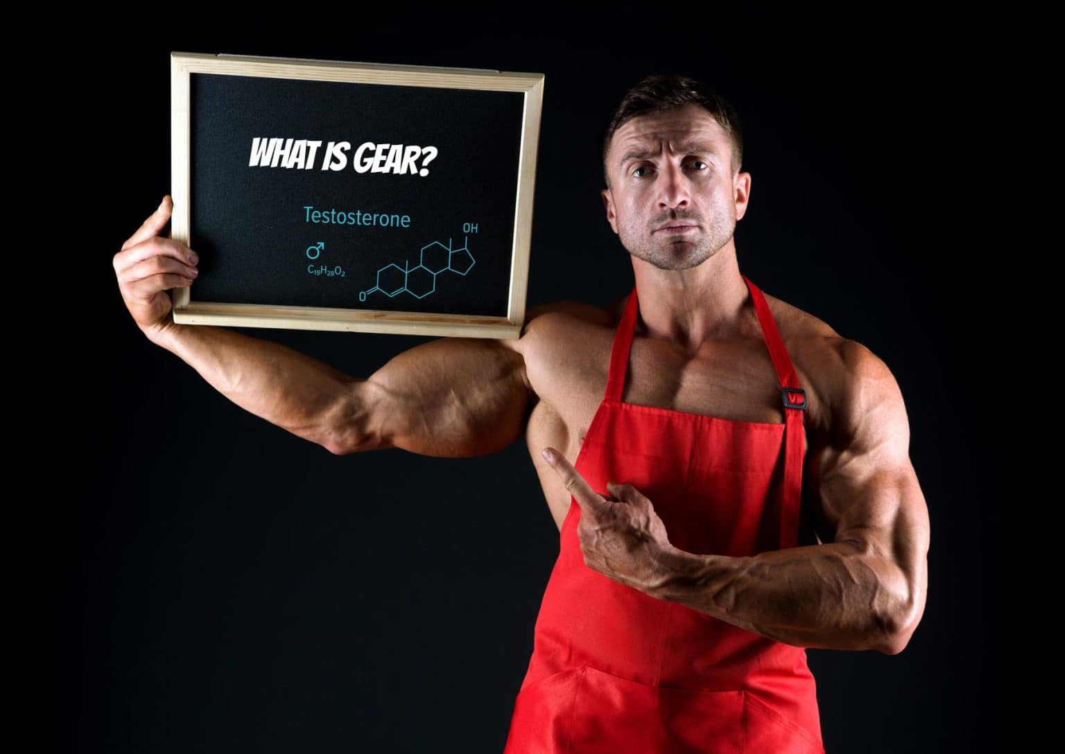 What is Gear in Bodybuilding? Fitness Volt