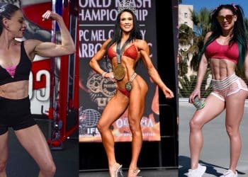 Ashley Kaltwasser Profile