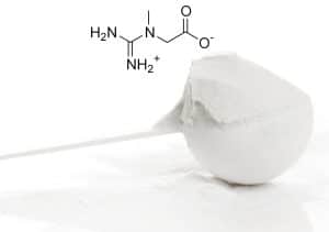 Creatine Powder vs. Pills — Which Should You Get? – Fitness Volt