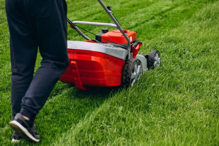 Cutting Grass With Lawn Mover