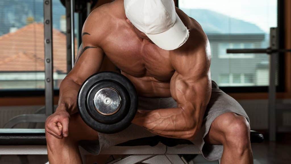 Dumbbell Concentration Curls