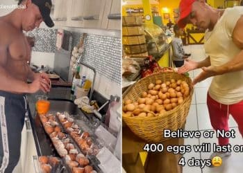 100 Eggs Everyday
