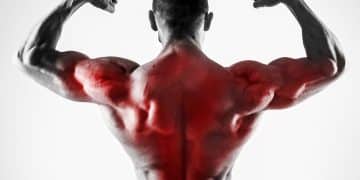 Best Lat Stretches