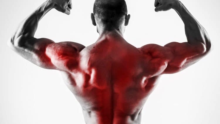 Best Lat Stretches