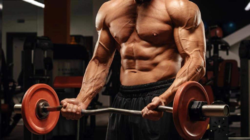Best Pull Day Workouts
