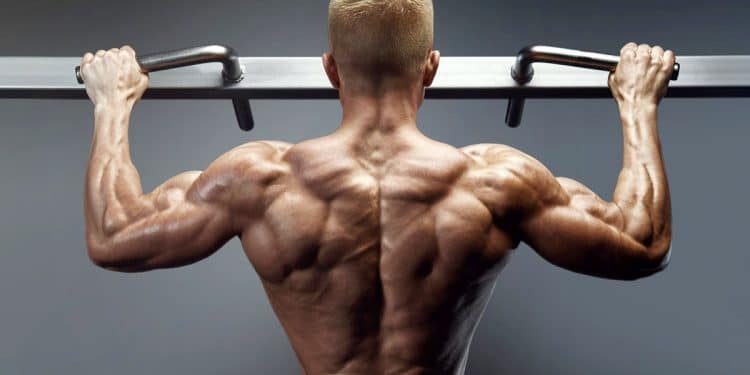 Bodyweight Workout For Muscle Gains