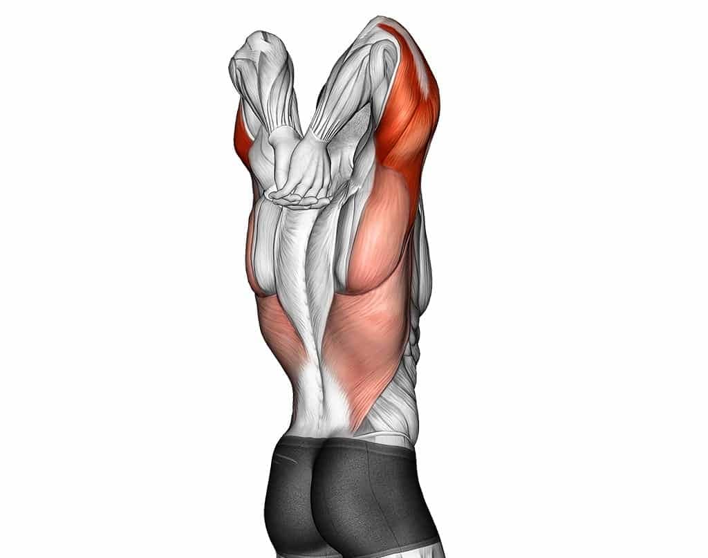 8 Best Triceps Stretches For Healthy Elbows Fitness Volt 6009