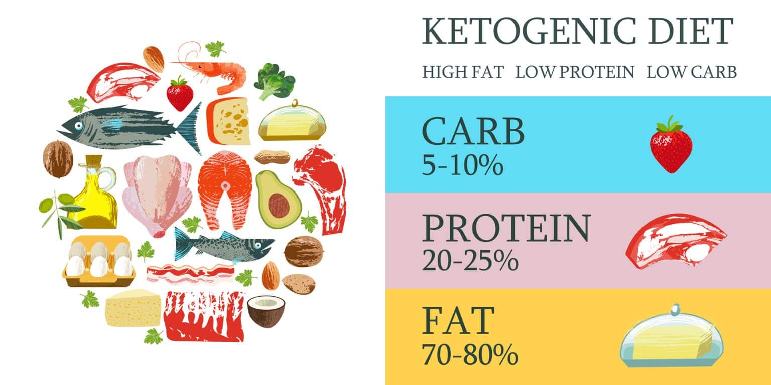 Paleo vs. Keto: Which Diet Is Best? – Fitness Volt