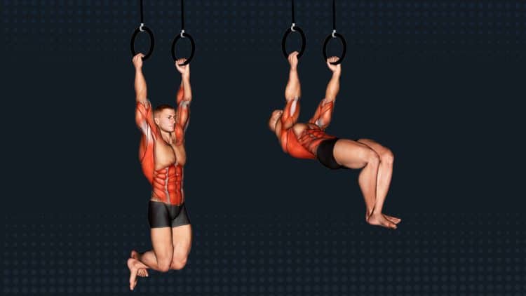 Kipping Muscle Up Exercise