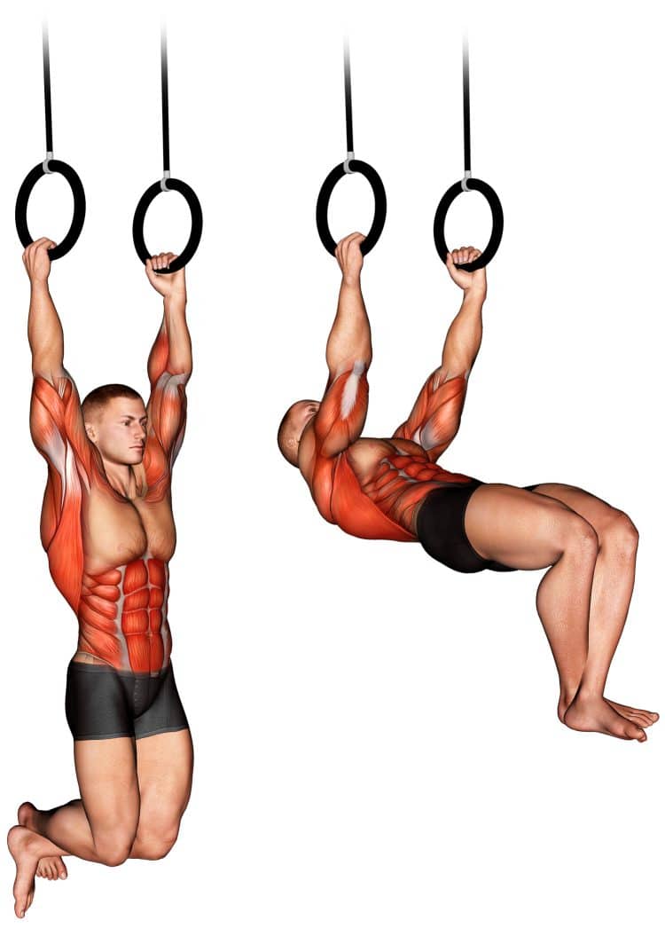 Kipping Muscle-Up Muscles Worked