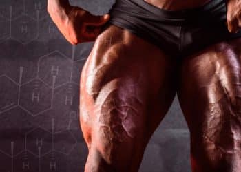 Leg Training Increase Testosterone