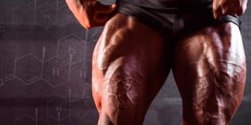 Leg Training Increase Testosterone