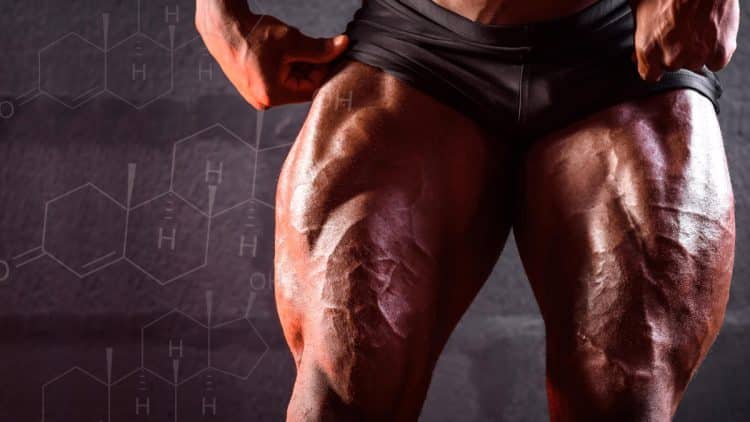 Leg Training Increase Testosterone