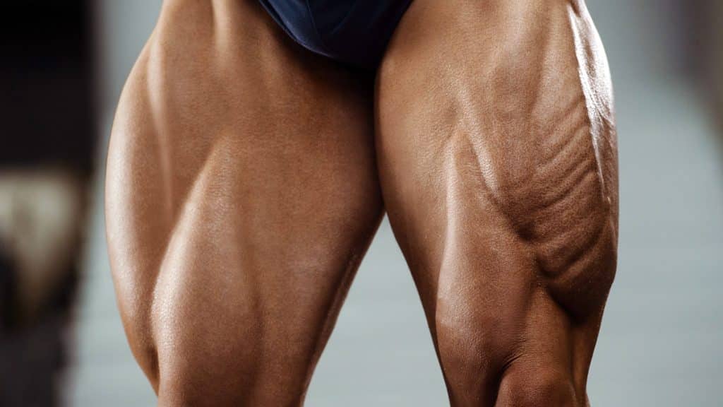 Vastus Lateralis Exercises