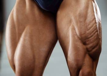 Vastus Lateralis Exercises