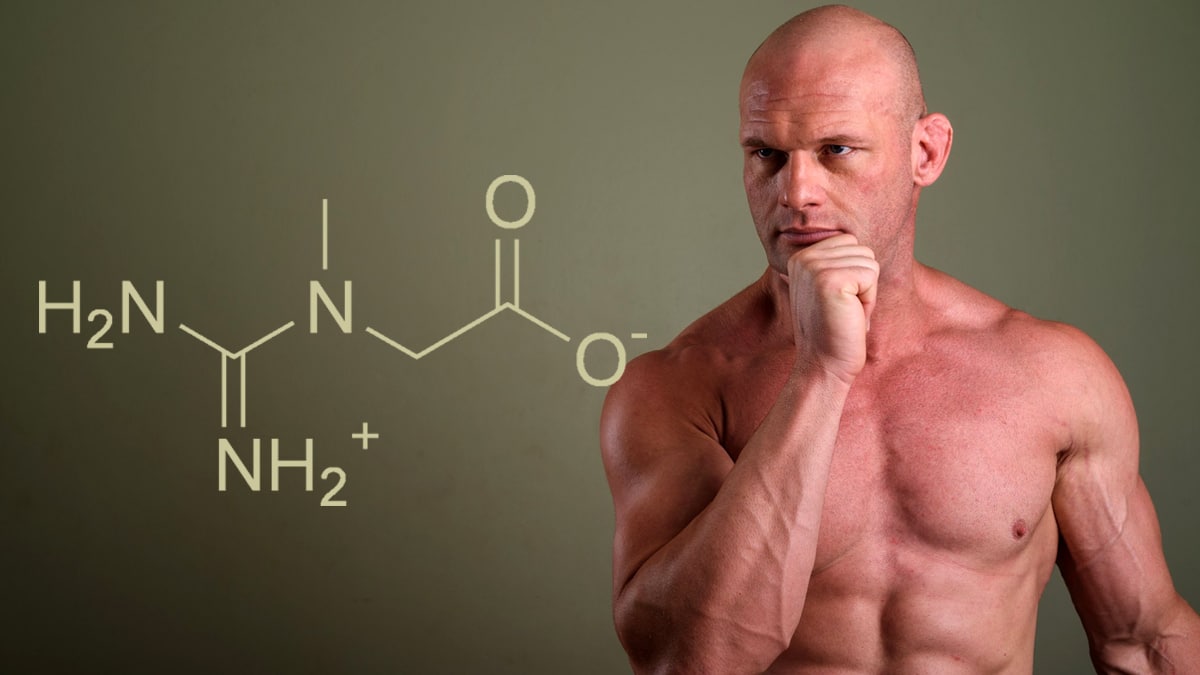 Creatine: Does It Cause Hair Loss? – Fitness Volt