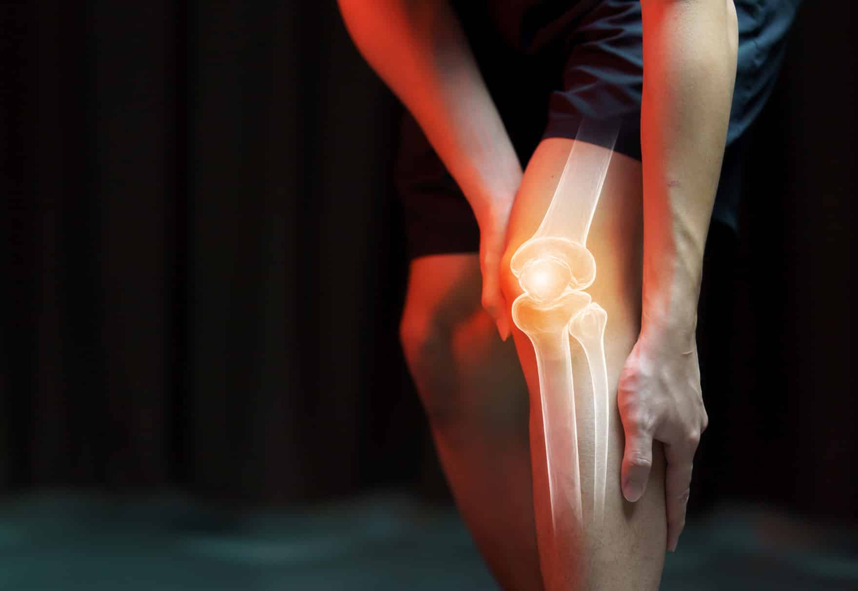 8 Best Quad Isolation Exercises for Strength and Mass Fitness Volt