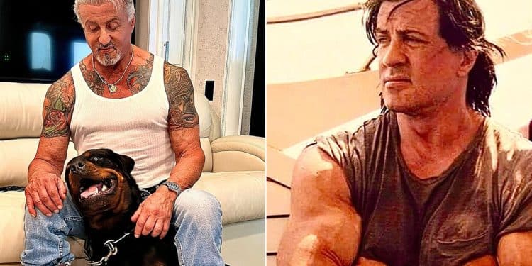 Sylvester Stallone Jacked Biceps