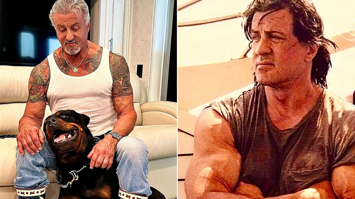 Sylvester Stallone Shows Off Jacked Biceps In Inspiring Message