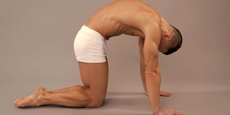 Best Lower Back Stretches