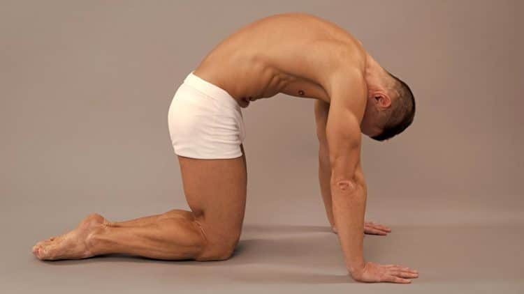 Best Lower Back Stretches