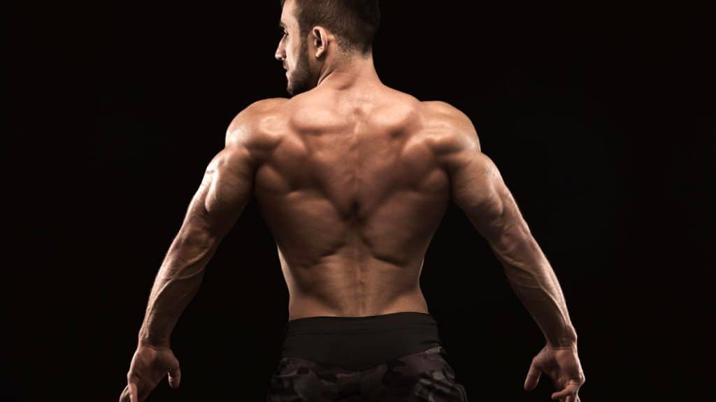Lower Lat Exercises