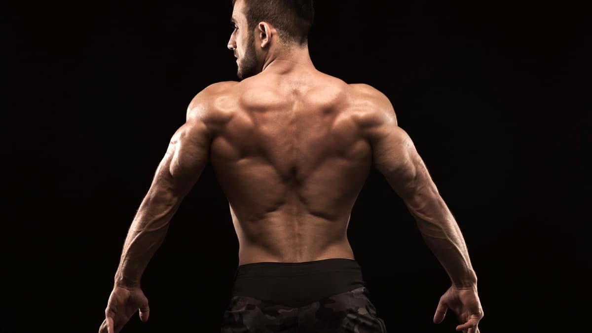 8 Lower Lat Exercises for a Bigger & Stronger Back