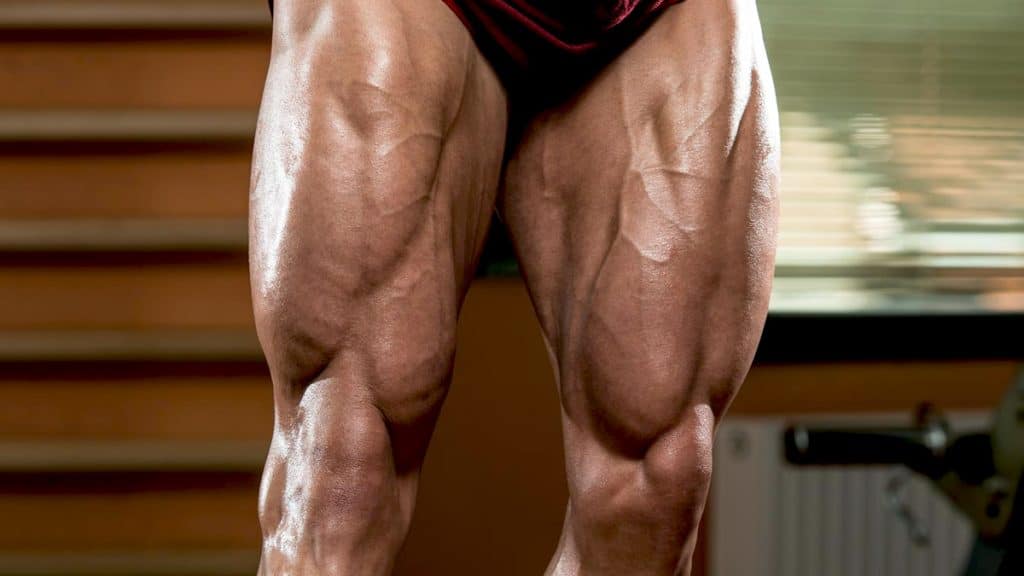 Quad Isolation Exercises
