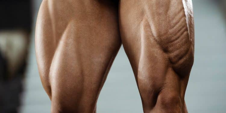 Quadriceps Stretches