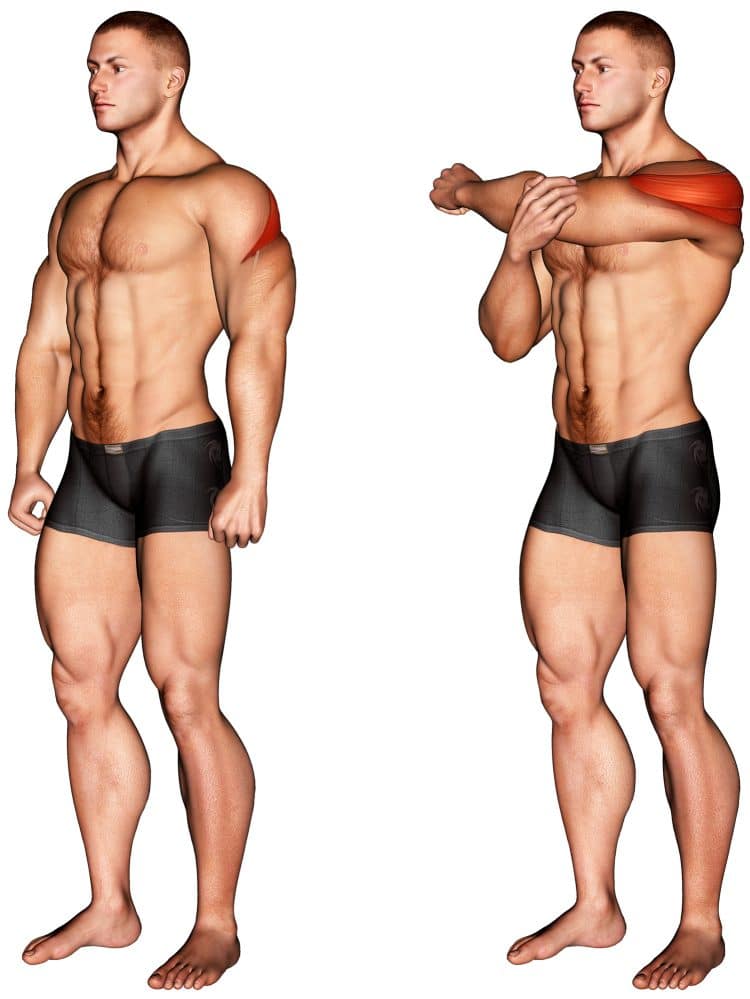 Rear Deltoid Muscles Stretched