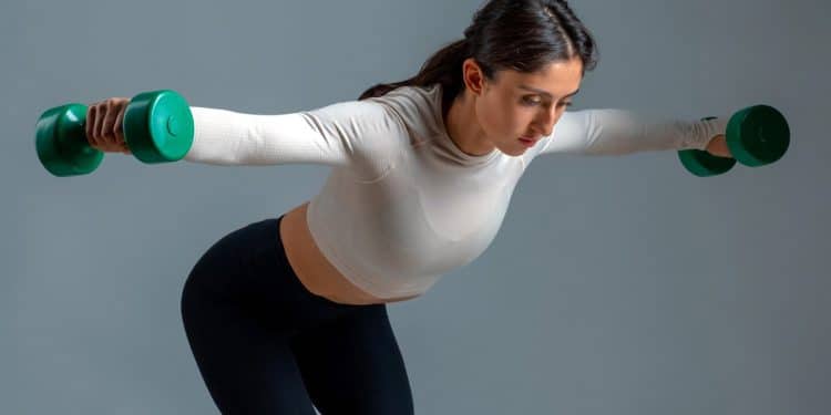 Reverse Pec Deck Alternatives