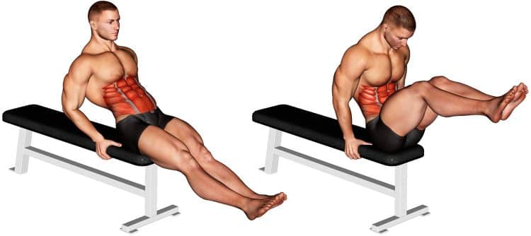 Seated Leg Raise Muscle Worked