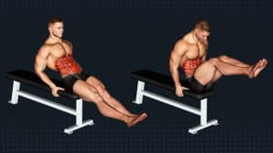 Seated Leg Raises